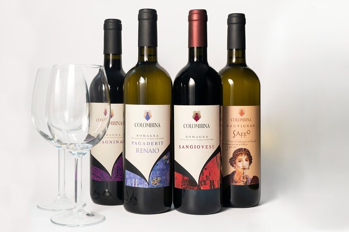 Private tastings at the Colombina Agricultural Company, Pesaro