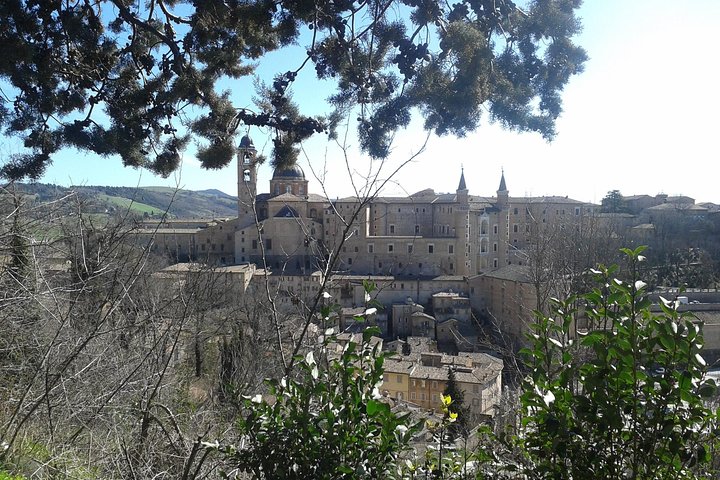 Visit of the Ducal Palace of Urbino — Cultural & heritage things to do in Pesaro