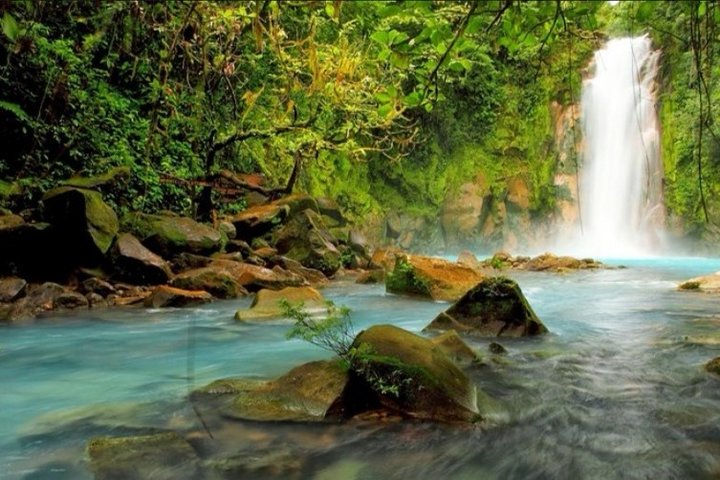 Río Celeste Waterfall and Sloth Watching Tour From Guanacaste — Nature & wildlife things to do in Playa Hermosa