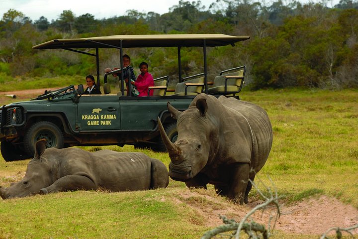 2hr Guided Game Drive at 10h00; Kragga Kamma Game Park Ticket — Nature & wildlife things to do in Port Elizabeth
