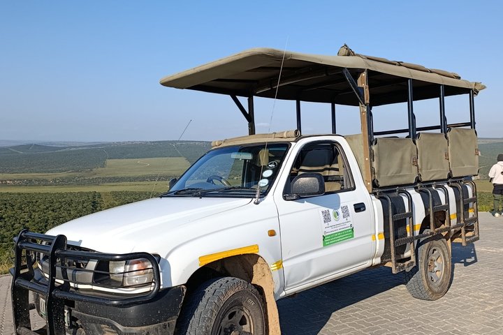 Addo Elephant National Park Full Day Safari, Port Elizabeth