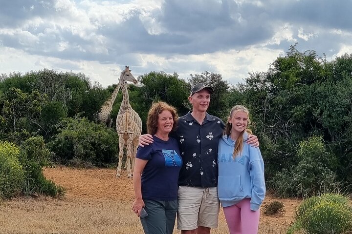 Full Day Addo And Giraffe Walk, Port Elizabeth