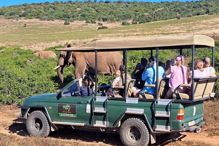Schotia Safari Half-Day Game Drive :Port Elizabeth, Port Elizabeth