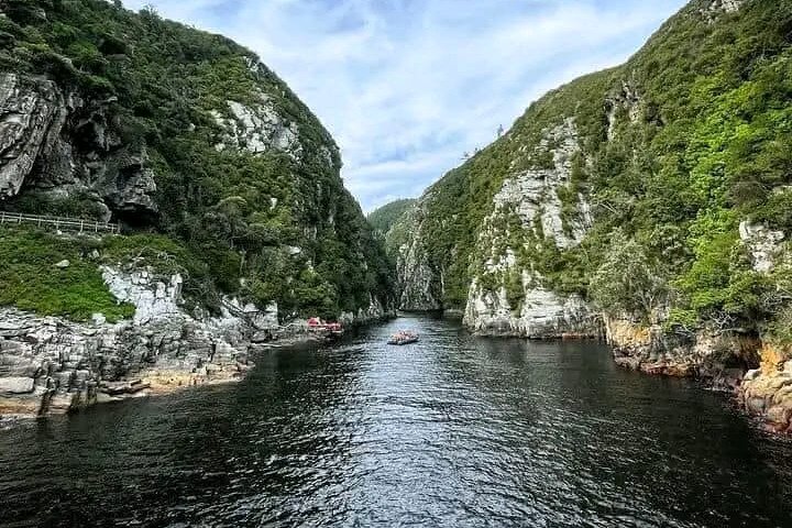Tsitsikama National Park Day Tour from Port Elizabeth, Port Elizabeth