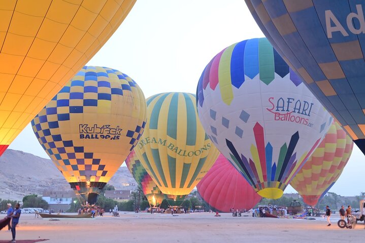 experiences in Port Ghalib
