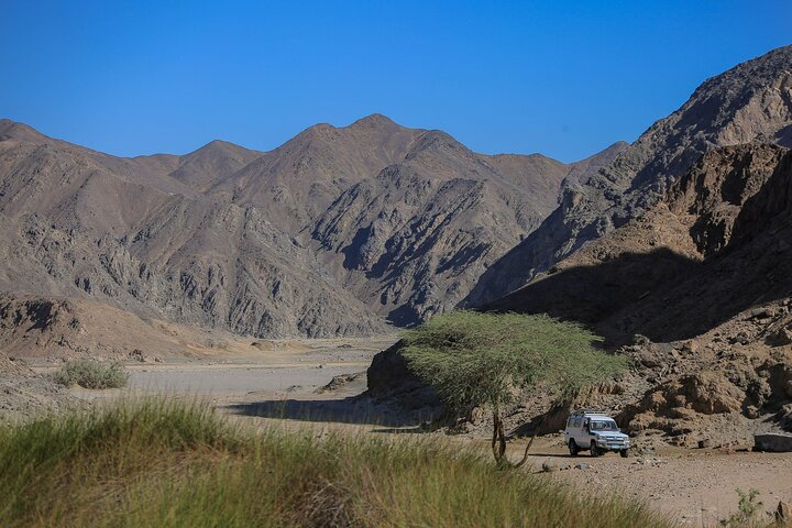 Marsa Alam Half Day Hike: Remote Wadi Naeba Desert Trek, Port Ghalib