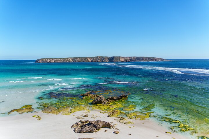 experiences in Port Lincoln