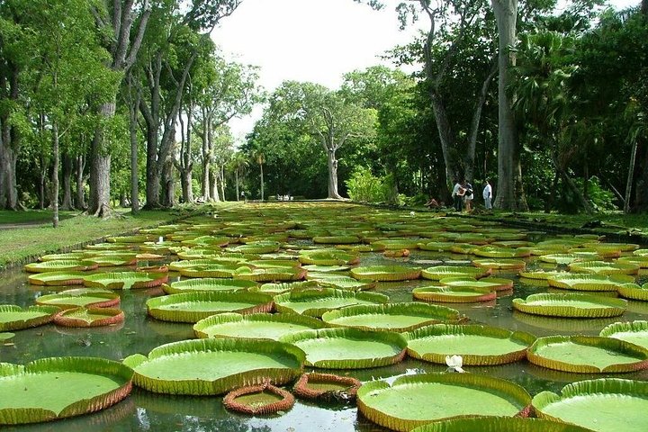 Private taxi : North guided tour of mauritius., Port Louis