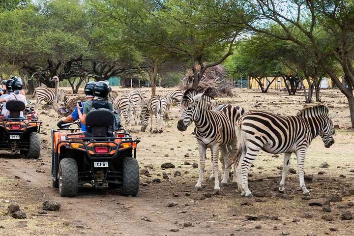 Wild South West Tour : SAFARI & TULAWAKA CASELA PARK & LE MORNE, Trou d'Eau Douce