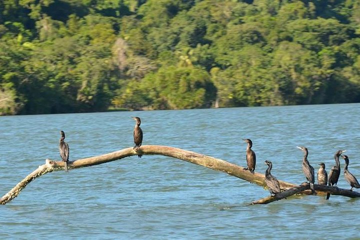 Kayak -Bird Watching Combo Tour from Puerto Quetzal — Adventure things to do in Puerto Quetzal
