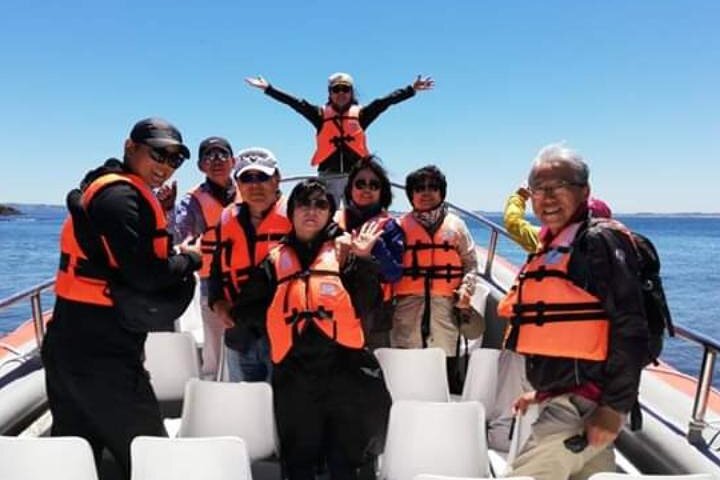 Chiloe Island - Puñihuil Tour, Puerto Varas
