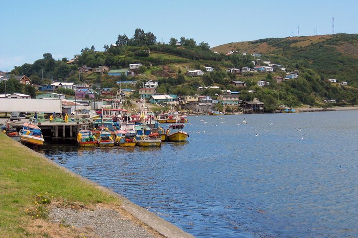 Puerto Varas; Full day, Chiloe island: Ancud, Caulin and Lacuy, Puerto Varas
