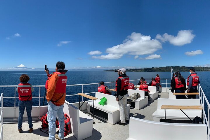Scenic Catamaran Tour on Llanquihue lake, Puerto Varas