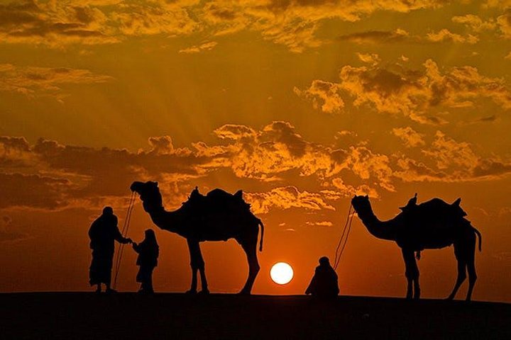 Overnight camel safari with desert camp in Pushkar, Pushkar