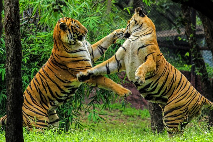 Private transfer from Pushkar to Ranthambore, Pushkar
