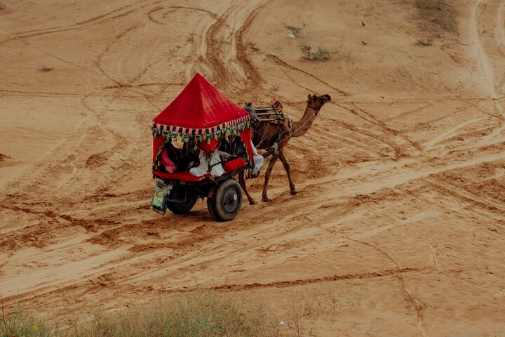 Pushkar city tour with camel safari and lunch, Pushkar