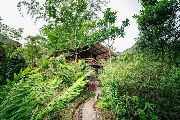 Jungle experiences, 3 days 2 nights, Puyo