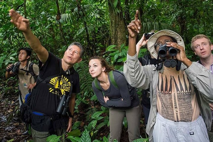 Yasuni Tours - 4 Days 3 Nights - From Puyo, Pastaza - Ecuador — Water & beach things to do in Puyo