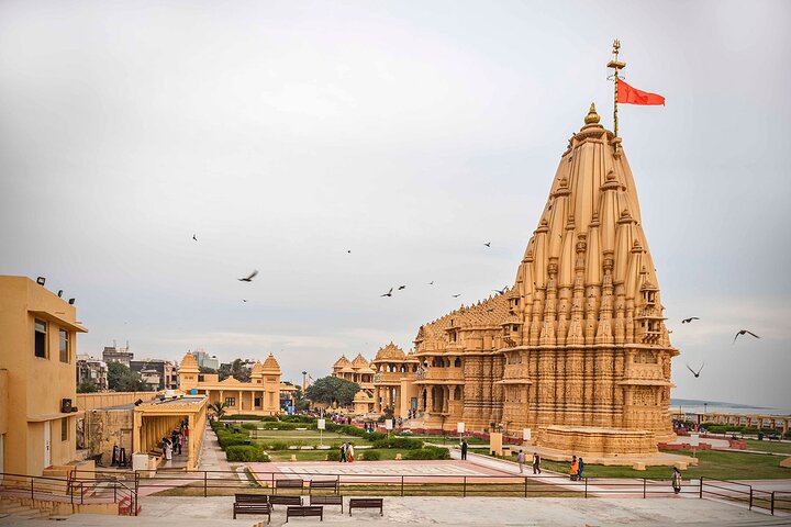 Rajkot to Diu tour — temples, lion safari, and beaches, Rajkot