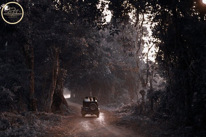 Tiger safari at Ranthambore National Park by canter, Ranthambore National Park