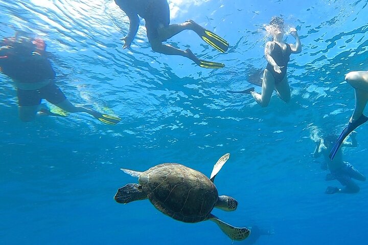 Aguadilla Tropical Snorkeling — Kids-friendly things to do in Rincón