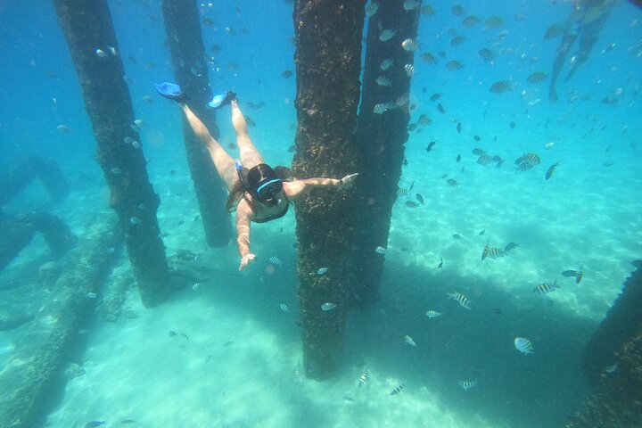 Coral Reef Snorkel Adventure with Photos and Videos — Adventure things to do in Rincón