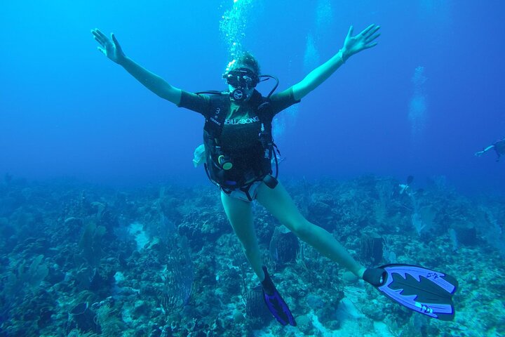 Discover Scuba in Rincon | Expert Guides, Small Groups — Water & beach things to do in Rincón