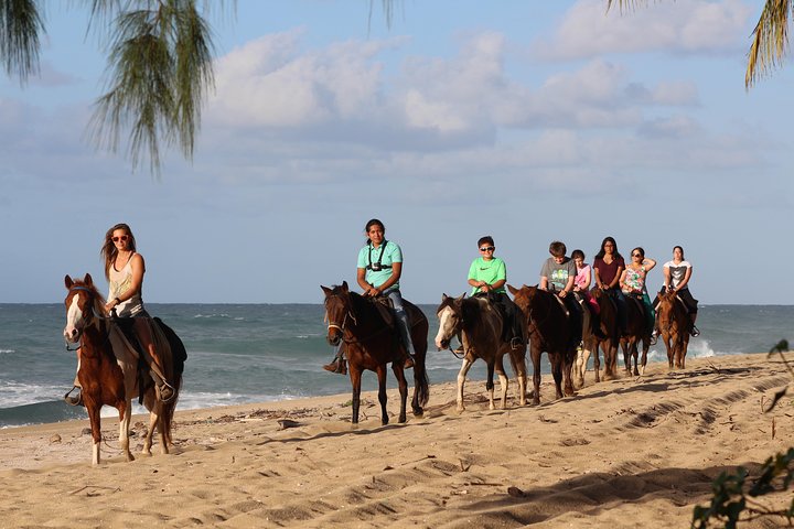 Horseback Riding through Secluded Beaches and Tropical Forests — Nature & wildlife things to do in Rincón