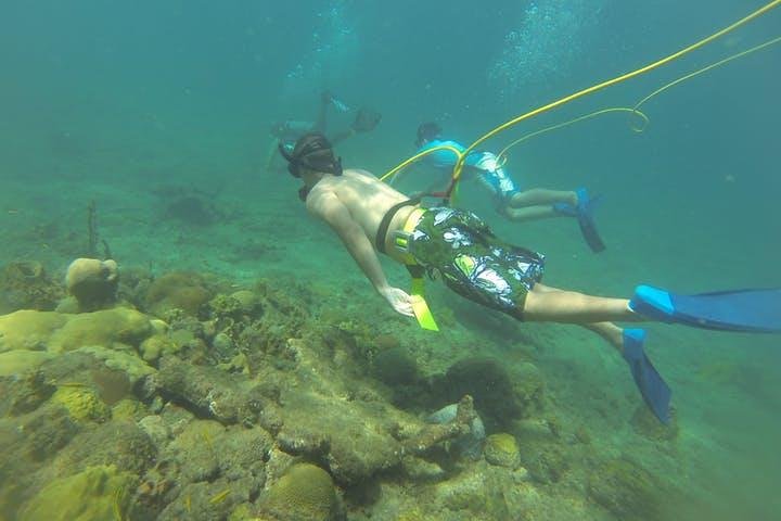 OCTOPUS DIVING (hookah diving) NO Experience Needed — Kids-friendly things to do in Rincón