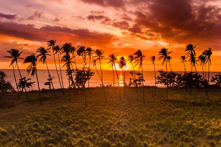 Rincon Tour Sunset & Nightlife Experience — Cultural & heritage things to do in Rincón