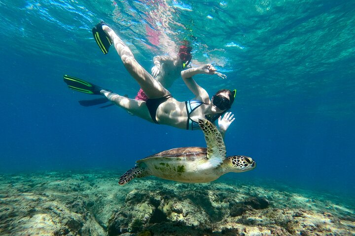 Snorkeling Adventure in Aguadilla, Rincón