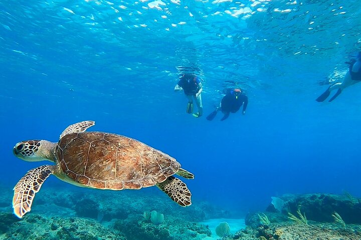experiences in Rincón
