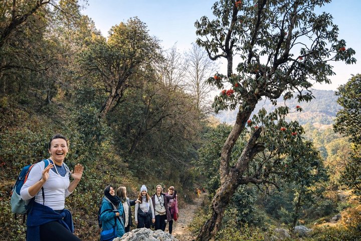Three-day Mahavatar Babaji Cave spiritual tour from Rishikesh, Rishikesh