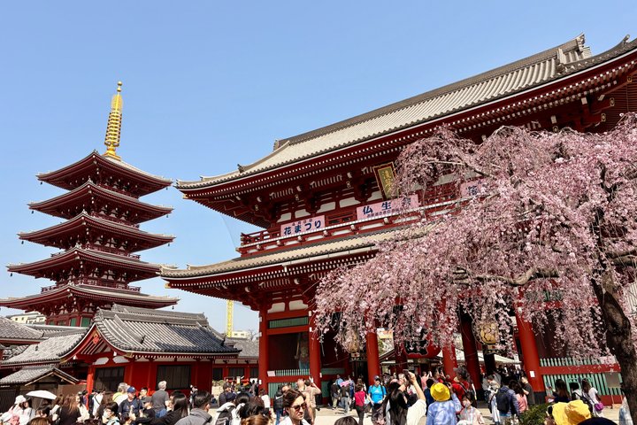 Tokyo Private Half-Day Tour by Car with Local Guide, Ginza
