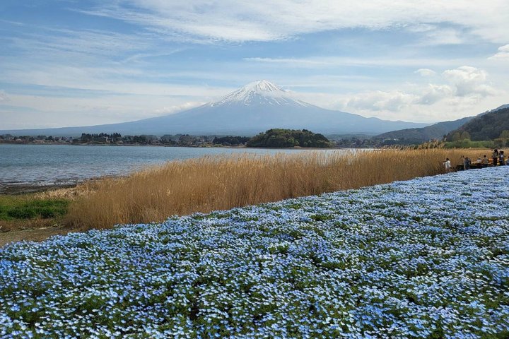 【2026 Summer】Mt. Fuji Private Car Tour from Tokyo with Pro Guide, Roppongi