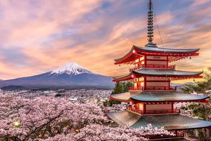 Fuji and Hakone Private Tour with English Guide and Photography, Roppongi