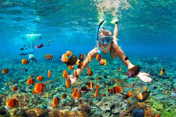 Boatride & Snorkeling then Margaritaville Hipstrip Activity, Runaway Bay