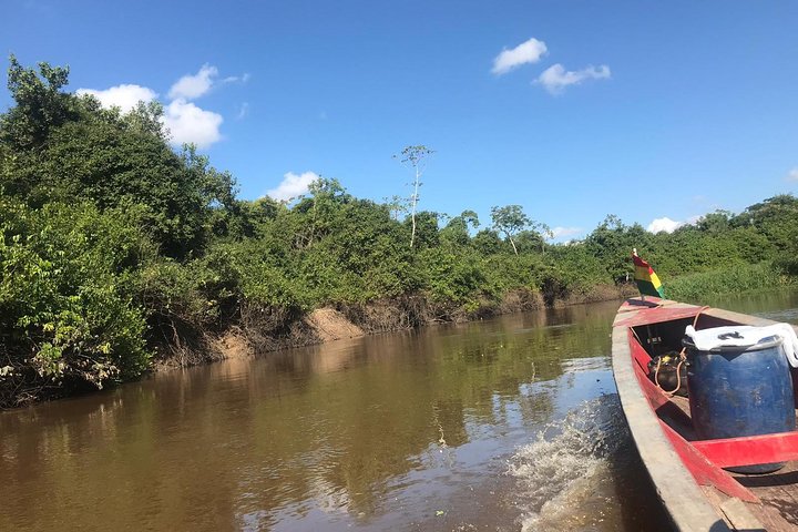 Rurrenabaque Pampas. 3 Days & 2 Nights.PRIVATE TOUR 3PPL MIN, Rurrenabaque