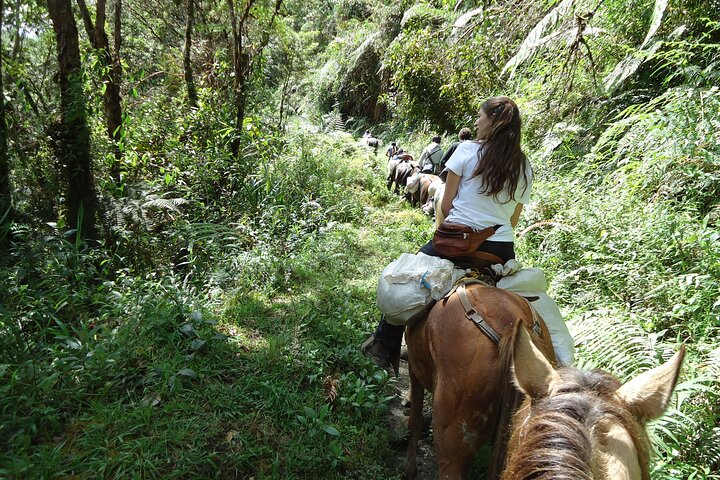 Private Horseback Riding Tour to Tres Chorros Waterfall, San Agustin