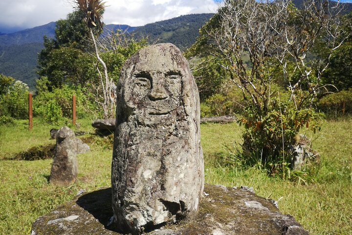 Private Tour to La Gaitana Archaeological Park in Quinchana, San Agustin