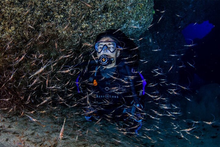 Double Diving Departure in Santa Maria Azores, Santa Maria