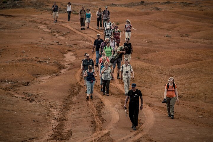 Santa Maria Walks - Go or Return, Santa Maria