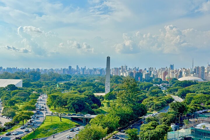 Best of São Paulo pickup Santos drop-off Sao Paulo/Hotel/Airport, Santos