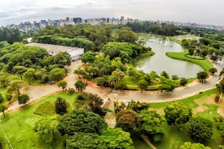São Paulo Major Tourist Attractions Private Tour: 8-Hour (Santos City Pick-up) — Cultural & heritage things to do in Santos