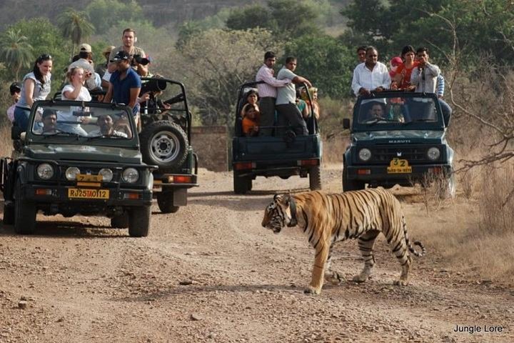 Two-night Ranthambore National Park tour from Jaipur, Sawai Madhopur