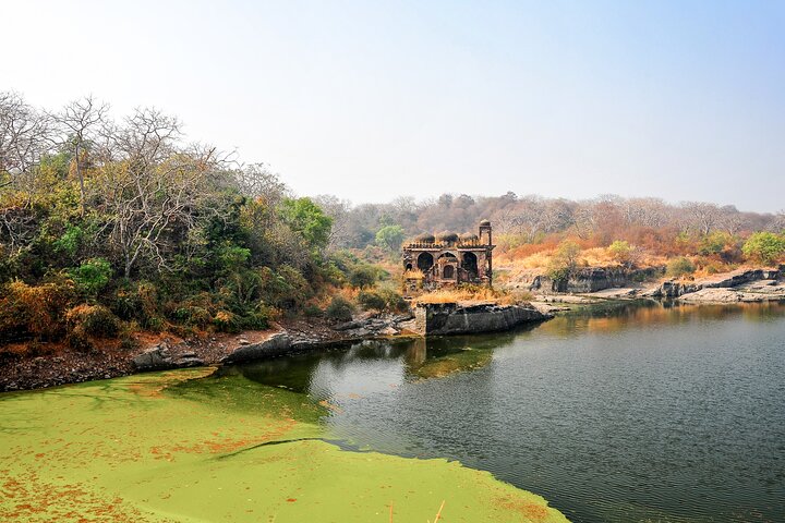 Private half-day trek to Ranthambore Fort, Sawai Madhopur
