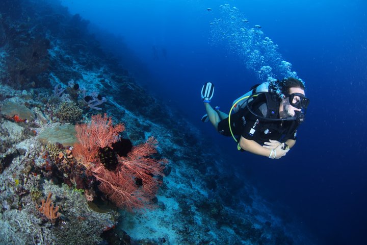 3 Dive Day Trip Semporna for Certified Divers, Semporna