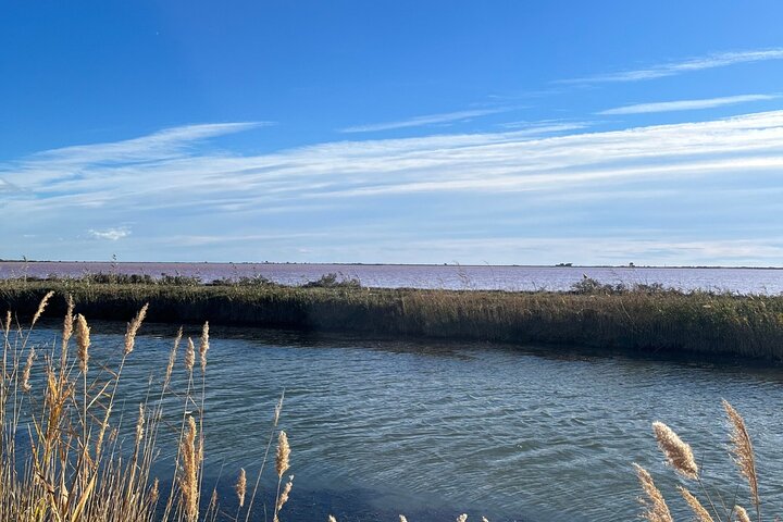 Private full day Camargue and Aigues-Mortes tour, Sete
