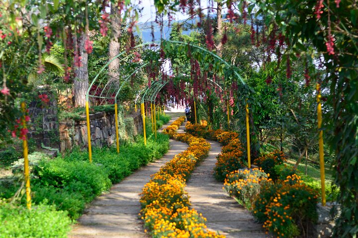 Private day trip to Mawlynnong from Shillong, Shillong