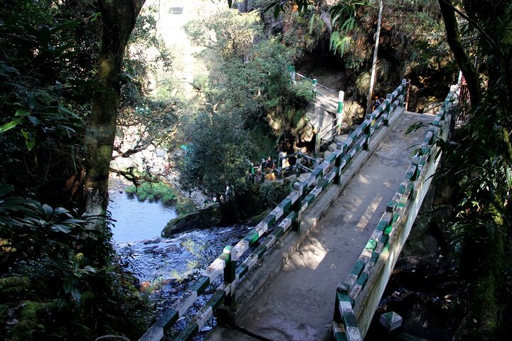Guided nature walk in Shillong — three-hour trek, Shillong